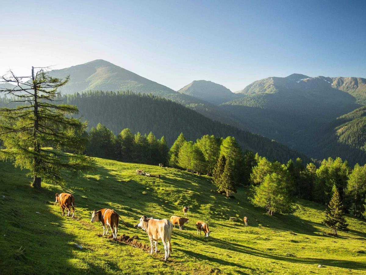 Gasthof Post Krems in Kaernten Екстер'єр фото